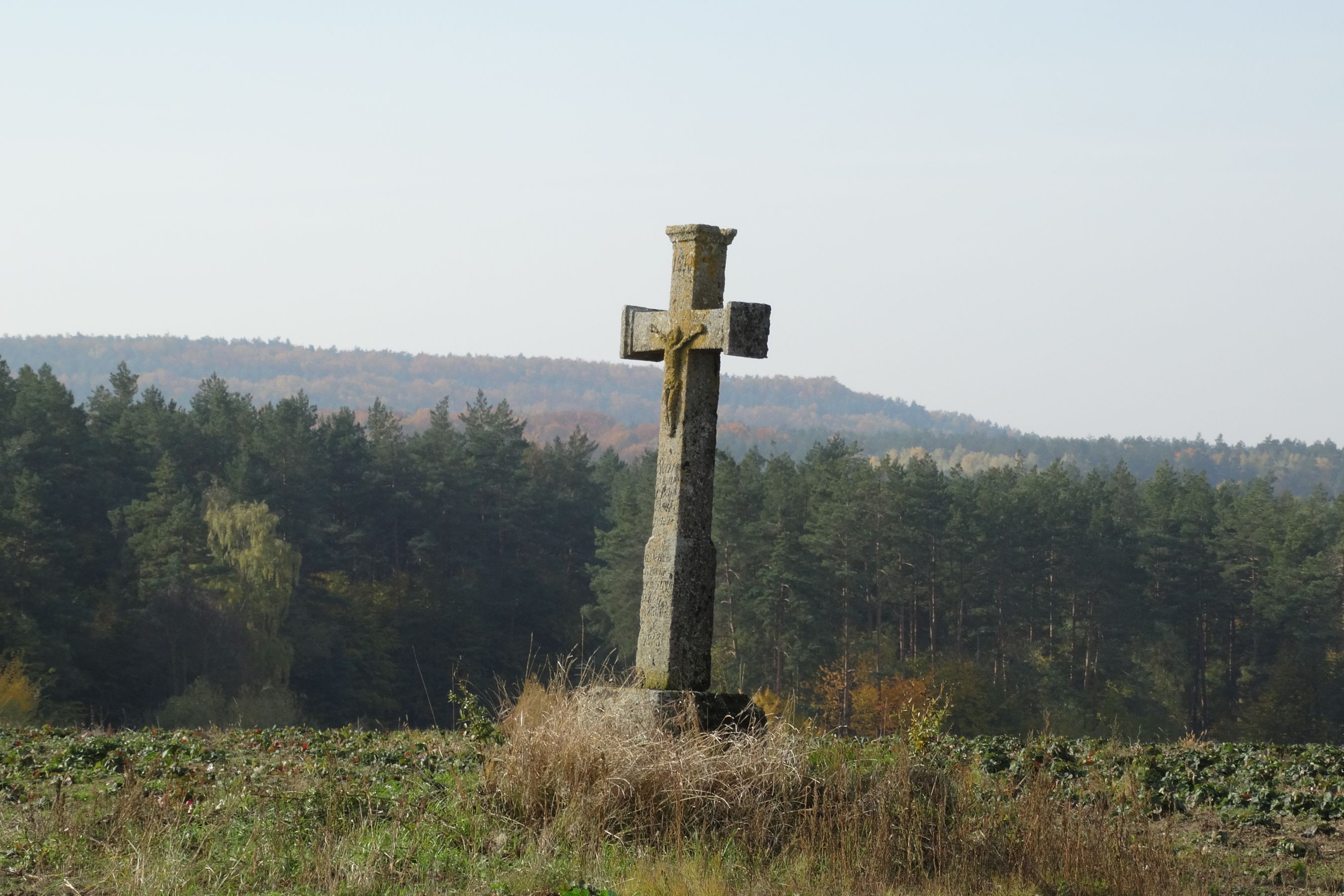 roztocze-huta-lubycka-na-roztoczu